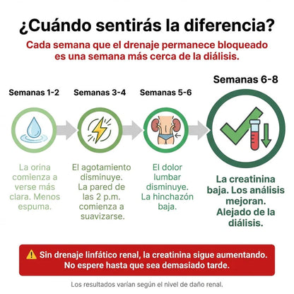 Aélia™ - Fórmula para Riñones y Drenaje Linfático Renal