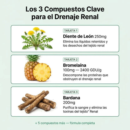 Aélia™ - Fórmula para Riñones y Drenaje Linfático Renal